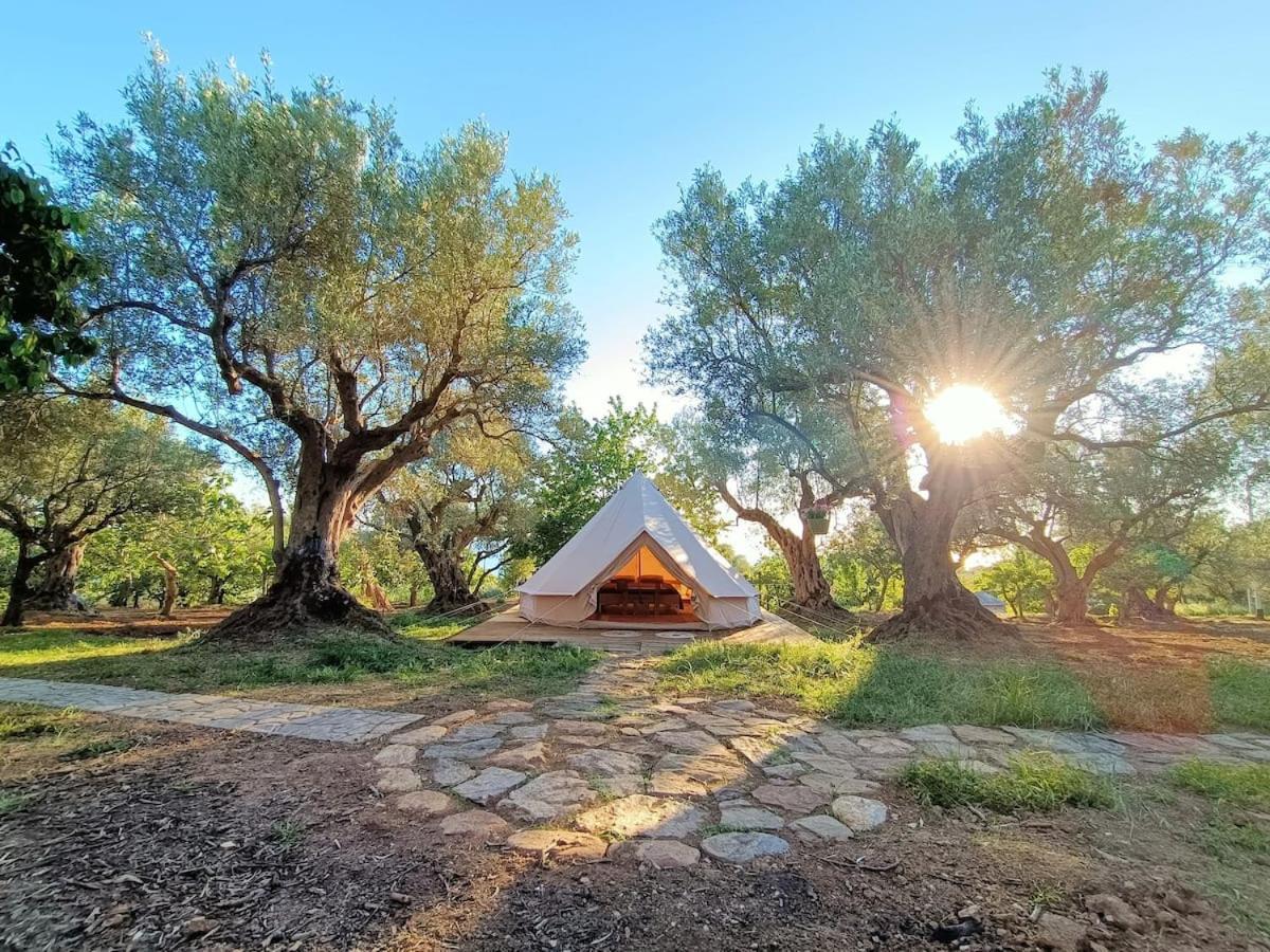 Отель Golden Camp Фалерна Экстерьер фото